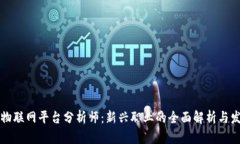 区块链物联网平台分析师：新兴职业的全面解析