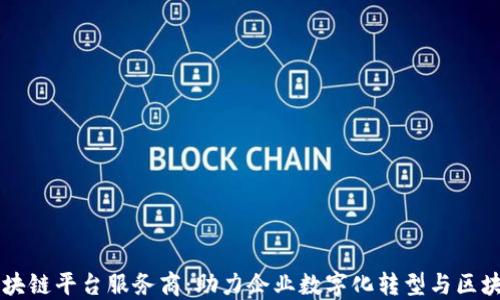 
中芯区块链平台服务商：助力企业数字化转型与区块链应用