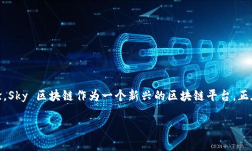在区块链技术不断发展的今天，越来越多的平台开始利用这一技术来提升自己的业务模式和用户体验。Sky 区块链作为一个新兴的区块链平台，正在吸引越来越多的开发者和企业的关注。下面我们将探讨 Sky 区块链所上线的平台及其带来的影响。

Sky 区块链平台及其生态体系详解