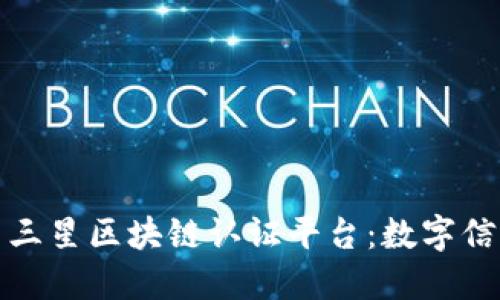 探索韩国三星区块链认证平台：数字信任的未来