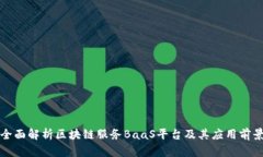 全面解析区块链服务BaaS平台及其应用前景