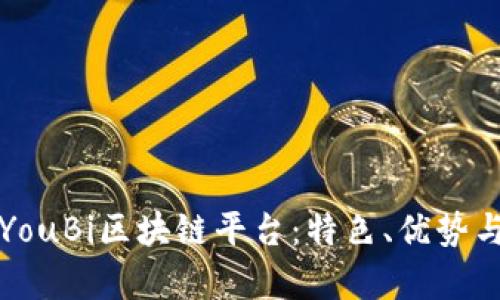深入解析YouBi区块链平台：特色、优势与应用场景