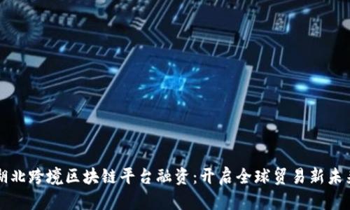 湖北跨境区块链平台融资：开启全球贸易新未来