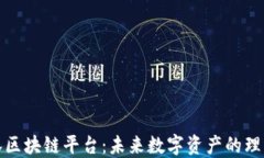 悠雨林区块链平台：未来数字资产的理想选择