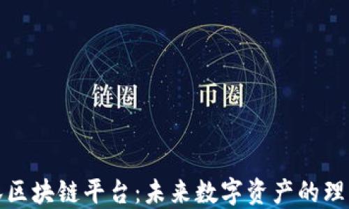 
悠雨林区块链平台：未来数字资产的理想选择