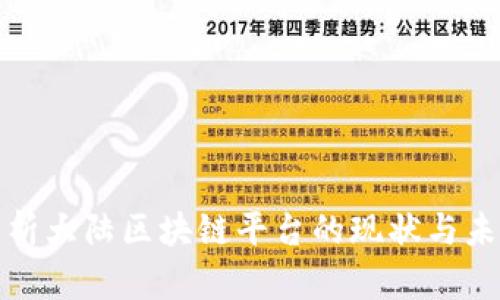 全面解析大陆区块链平台的现状与未来发展