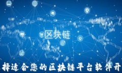 如何选择适合您的区块链平台软件开发方案