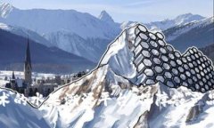 基于区块链技术的水果溯源平台：保障农产品安