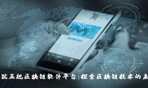 上犹正规区块链软件平台：探索区块链技术的未来
