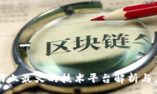 :

区块链网上最火的技术平台解析与应用前景