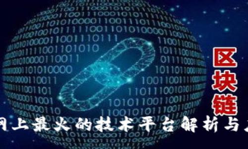 :

区块链网上最火的技术平台解析与应用前景