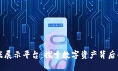 区块链数据展示平台：探索数字资产背后的透明