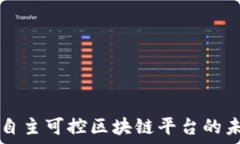     探索国产自主可控区块链平台的未来与潜力