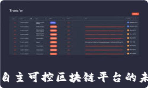 探索国产自主可控区块链平台的未来与潜力