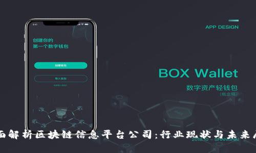 全面解析区块链信息平台公司：行业现状与未来展望