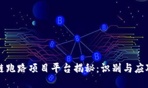 区块链跑路项目平台揭秘：识别与应对策略