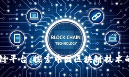 国家区块链平台：探索中国区块链技术的先锋公司