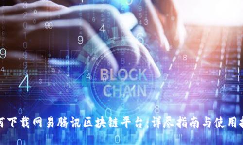 如何下载网易腾讯区块链平台：详尽指南与使用技巧