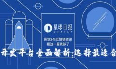 区块链技术的开发平台全面解析：选择最适合的