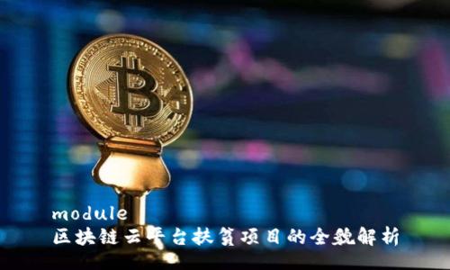 module
区块链云平台扶贫项目的全貌解析