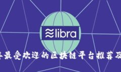 2023年最受欢迎的区块链平台推荐及其特点