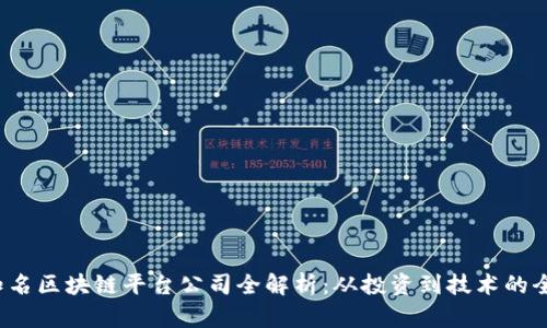  国外知名区块链平台公司全解析：从投资到技术的全面评估