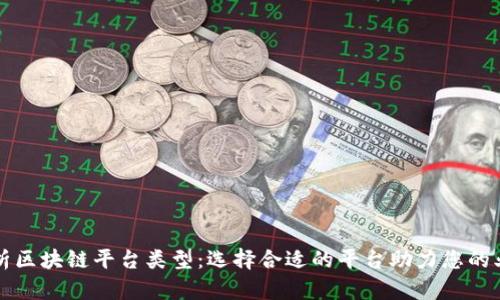 全面解析区块链平台类型：选择合适的平台助力您的业务转型