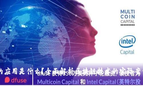 区块链平台的应用是什么？全面解析区块链技术的实际案例与行业应用
