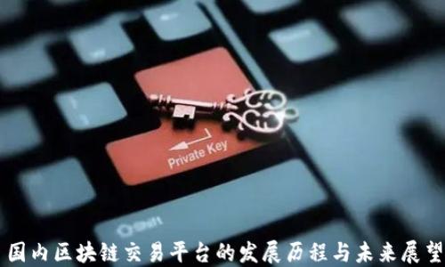 
国内区块链交易平台的发展历程与未来展望
