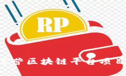 如何成功运营区块链平台项目：全面指南