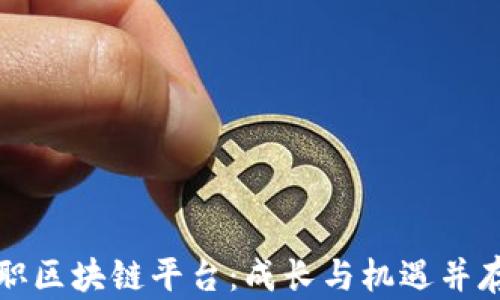 
大学生兼职区块链平台：成长与机遇并存的新选择