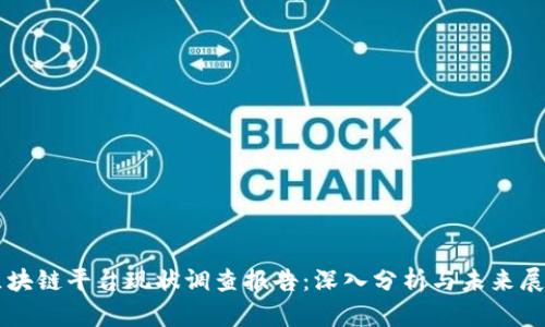 区块链平台现状调查报告：深入分析与未来展望