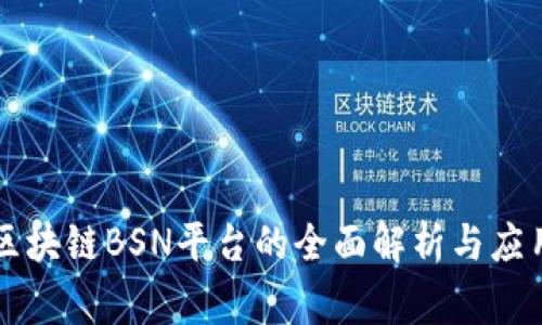 国家区块链BSN平台的全面解析与应用前景