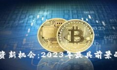 区块链投资新机会：2023年最具前景的赚钱平台