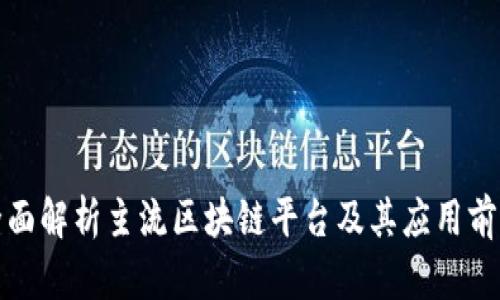 全面解析主流区块链平台及其应用前景