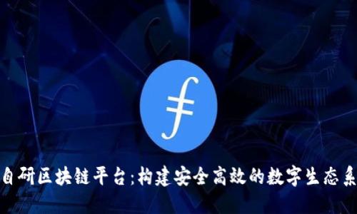 : 自研区块链平台：构建安全高效的数字生态系统