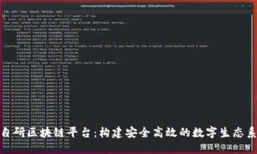 : 自研区块链平台：构建安全高效的数字生态系统