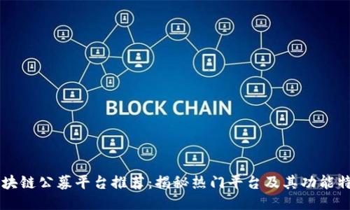 区块链公募平台推荐：揭秘热门平台及其功能特点