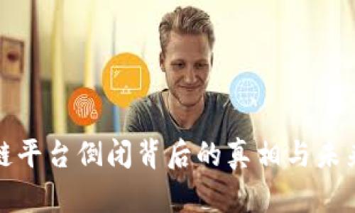 区块链平台倒闭背后的真相与未来影响