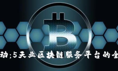 创新驱动：5天业区块链服务平台的全面解析