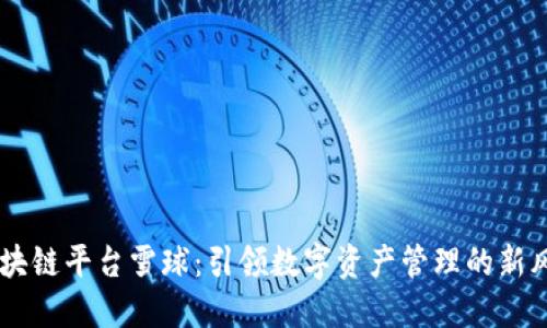 区块链平台雪球：引领数字资产管理的新风口