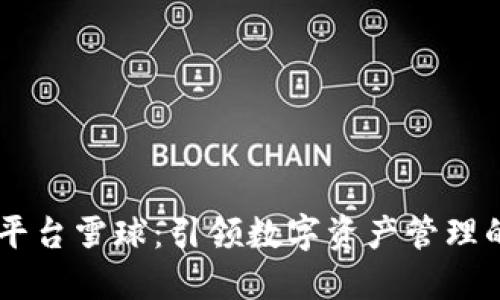 区块链平台雪球：引领数字资产管理的新风口
