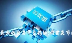 中国区块链最大的交易平台揭秘：谁才是市场的