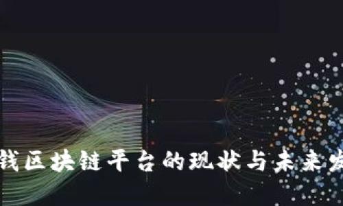 深圳洗钱区块链平台的现状与未来发展趋势