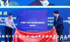 全面解析B丫宝贝计划：什么是区块链平台及其意