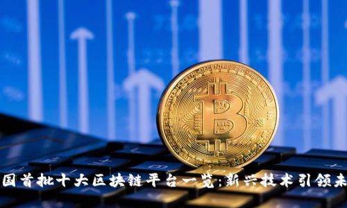 全国首批十大区块链平台一览：新兴技术引领未来