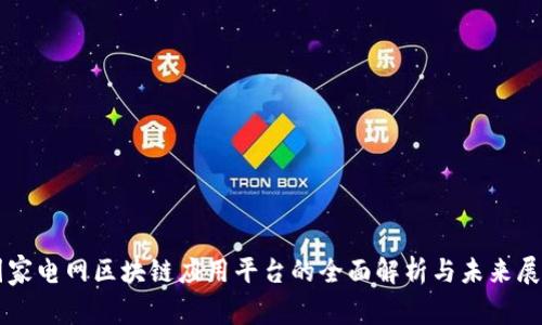 国家电网区块链应用平台的全面解析与未来展望