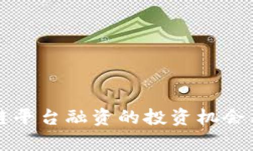跨境区块链平台融资的投资机会与风险分析