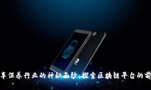 揭开洗车保养行业的神秘面纱：探索区块链平台的前沿科技