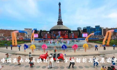 中国最大的区块链平台：全面解析与发展前景